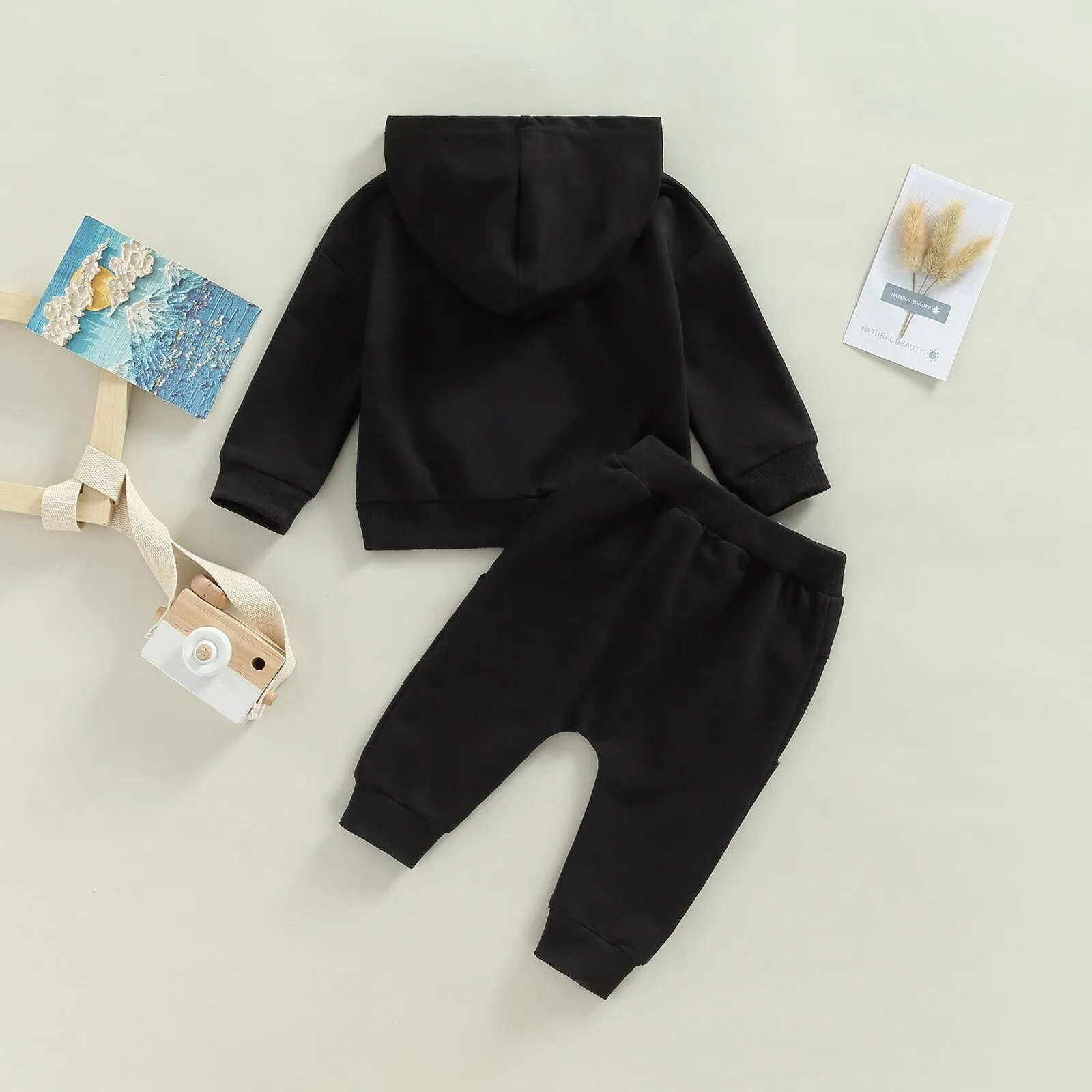 Baby Boys 2Pcs Fall Outfits